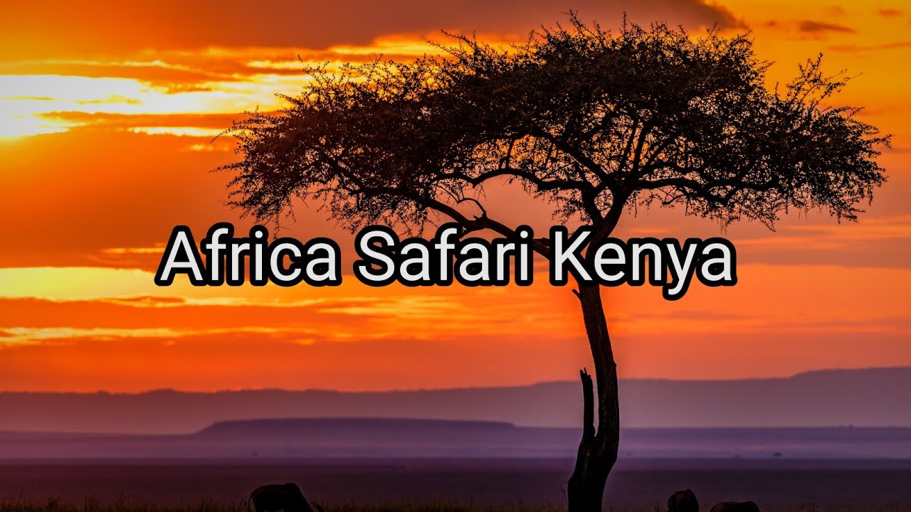 Africa Safari Kenya 4K