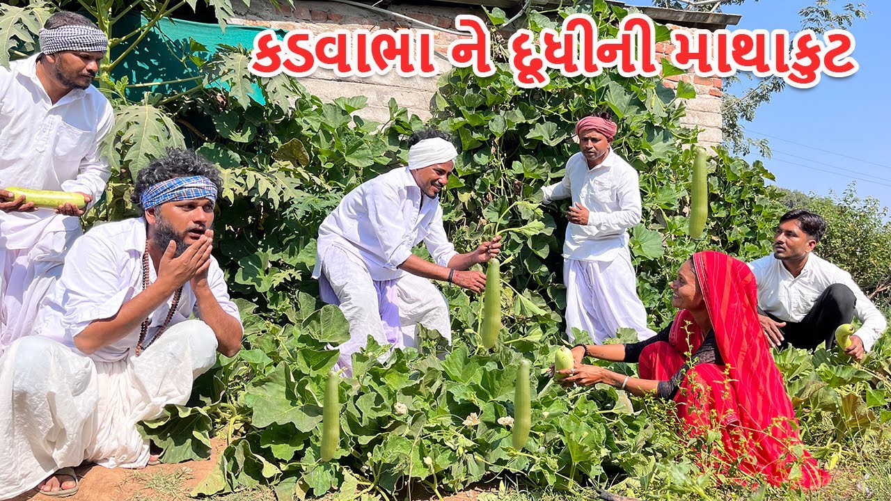 કડવાભા ને દૂધીની માથાકુટ || કોમેડી વિડિયો || KADVABHA NE DUDHI NI MATHAKUT || Gujarati Comedy Video