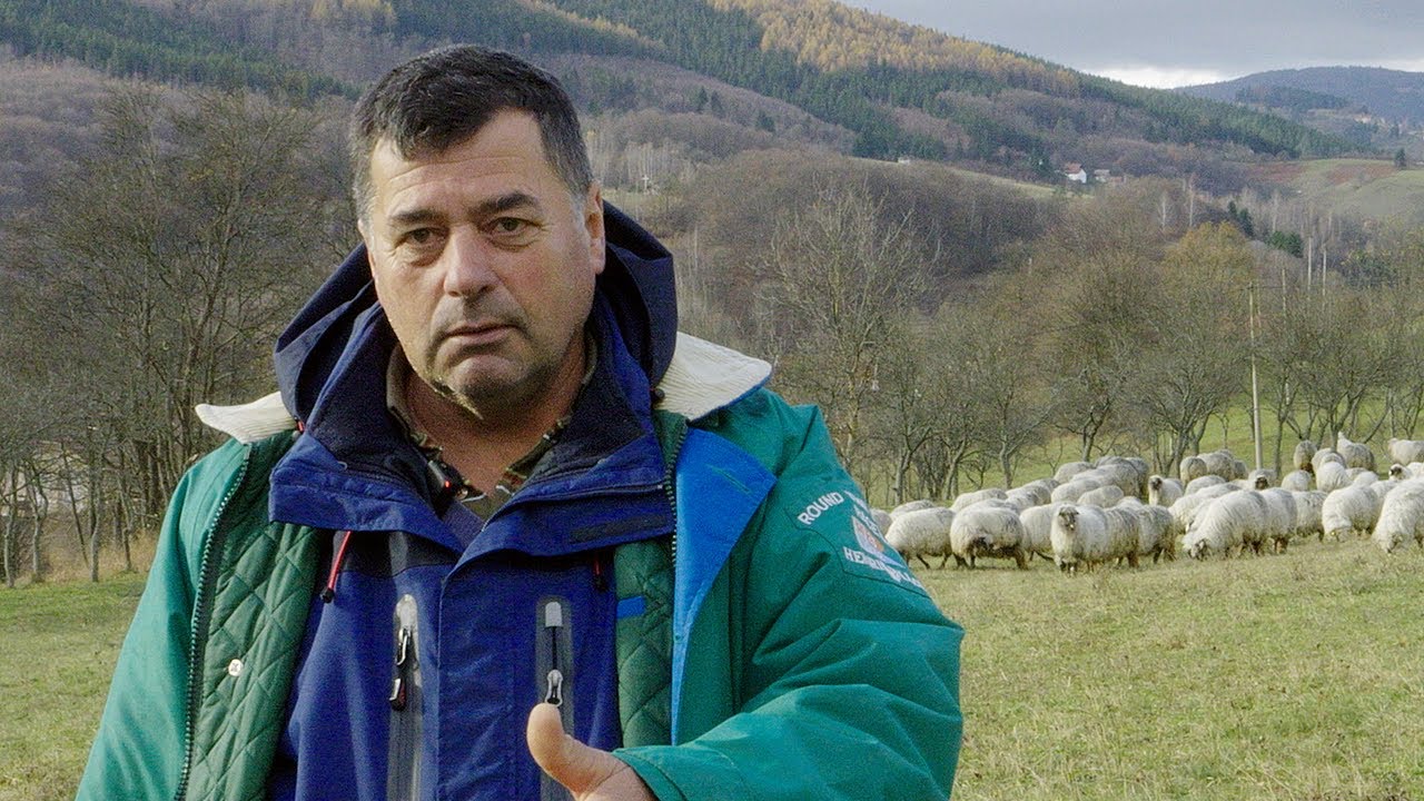 Zbog medvjeda godinama mirno ne spavamo
