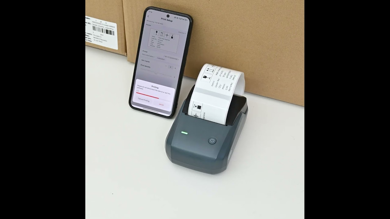 NIIMBOT B1 Thermal Logistics Label Printer, for Shipping Packages, Support Android, iPhone, Windows