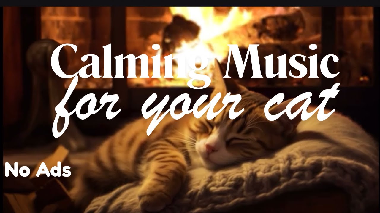 Comfort Stream for Cats 🐾🔥 | Fireplace + Calming Music (Live)