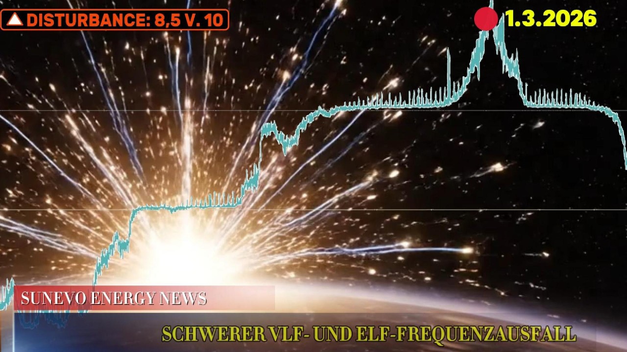 SUNEVO SUNDAY NEWS - DISTURBANCE 8,5 VON 10
