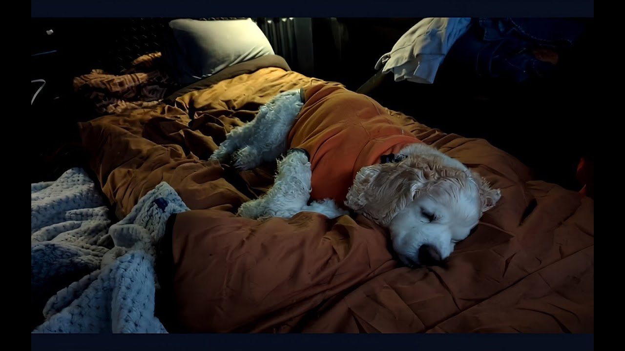 Warm Dry Shelter Overnight by the Bay