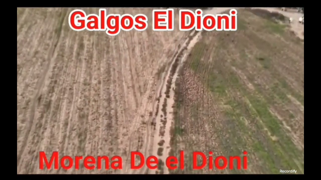 18 de febrero de 2026