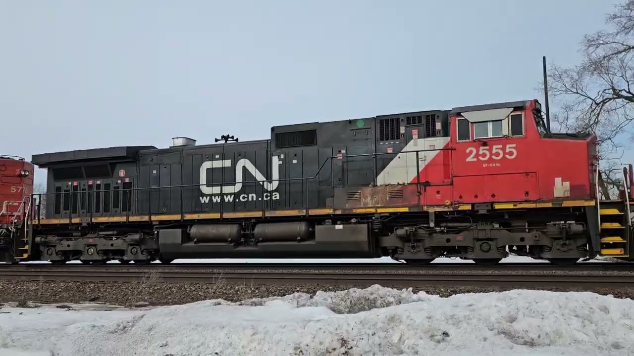 CN M397