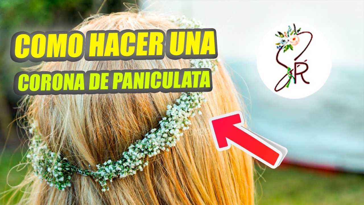 Corona de paniculata preservada en 5 minutos | DIY fácil y duradero