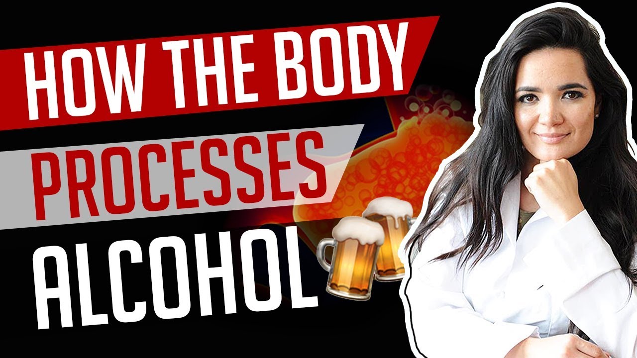 HOW THE BODY PROCESSES ALCOHOL │ Gauge Girl Training