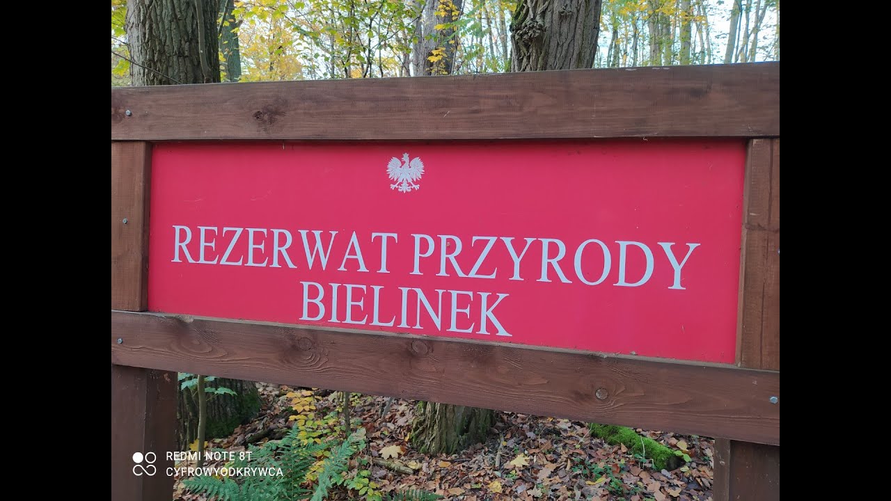 Rezerwat przyrody Bielinek