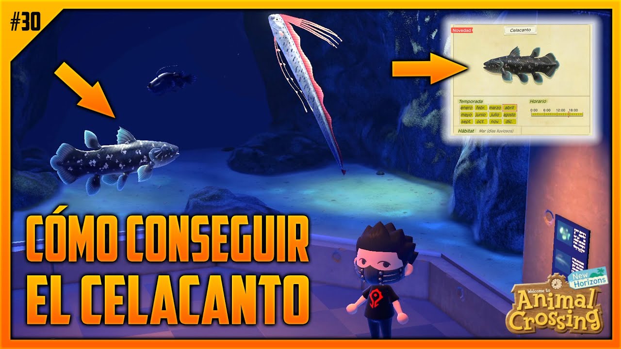 CÓMO CONSEGUIR EL CELACANTO 🐟 EP. 30 | ANIMAL CROSSING NEW HORIZONS