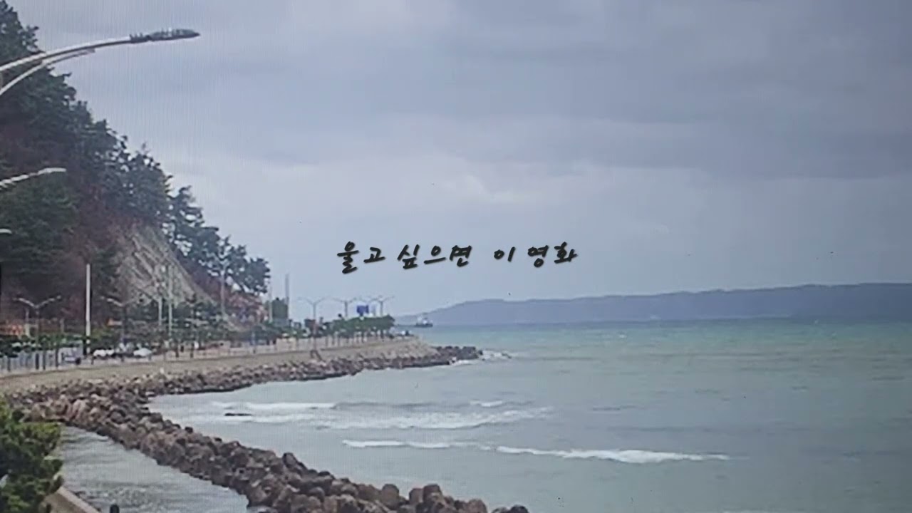 언니의 일기_374_[왕과 사는 남자]