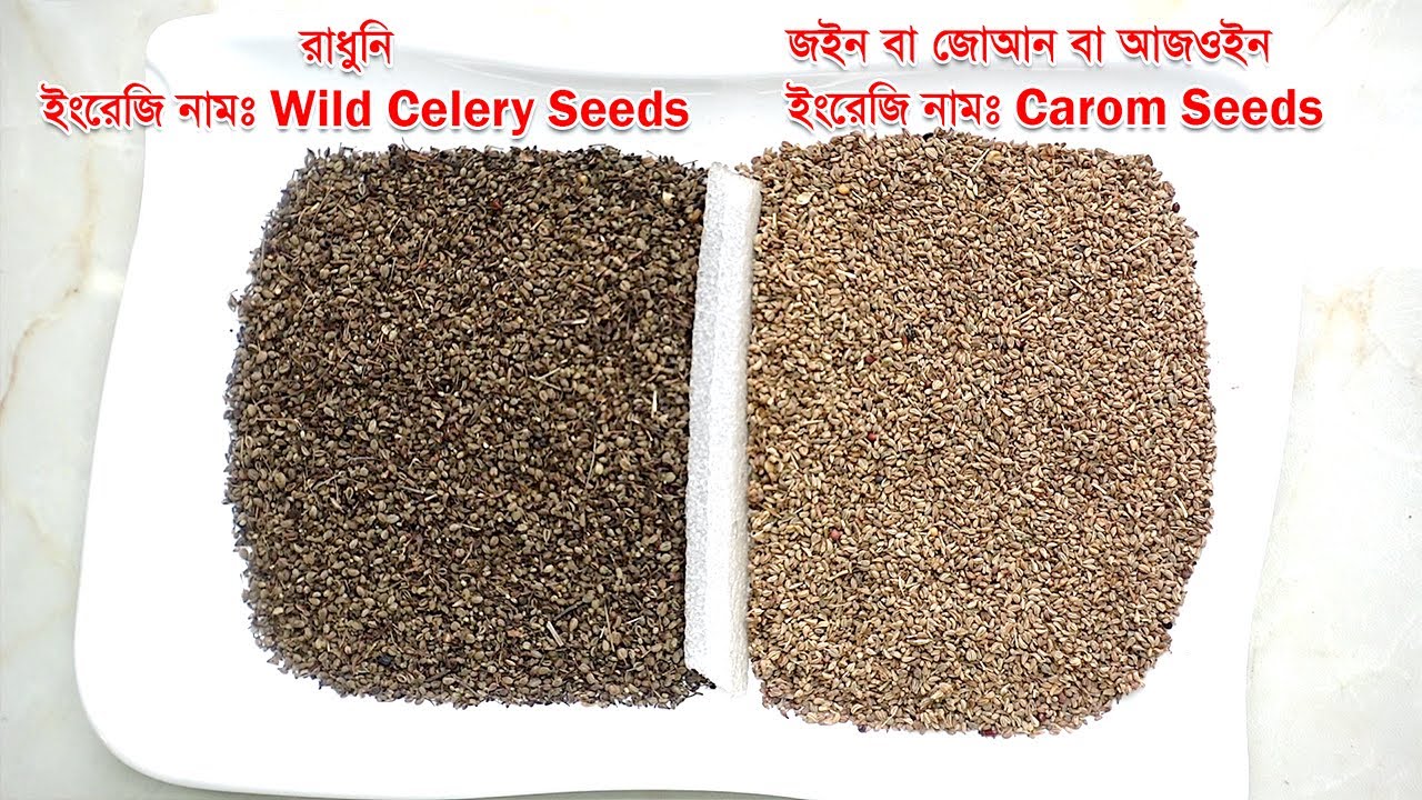 রাঁধুনি আর জইন - মাছ আর বিভিন্ন ভাজা পোড়ার রান্নায় অসাধারণ স্বাদ আনতে দুইটি মশলার বিস্তারিত দেখুন