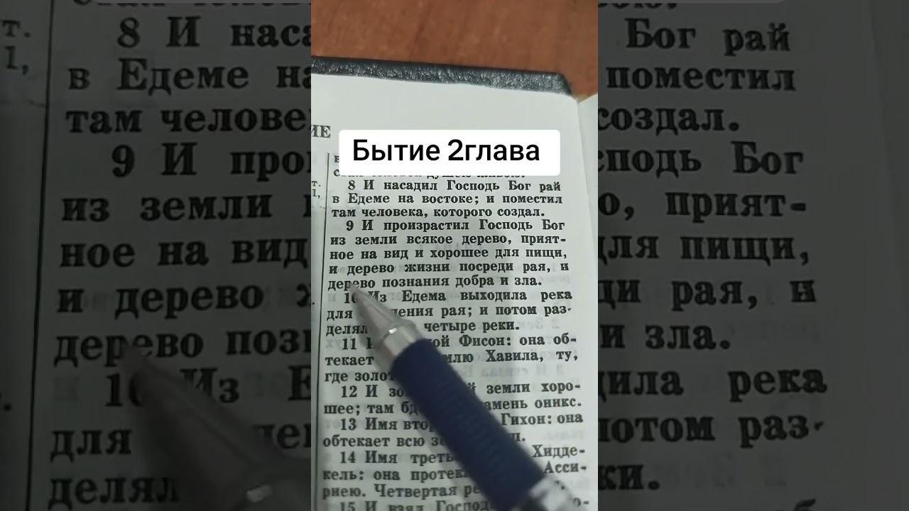 Битие 2глава #библия 
