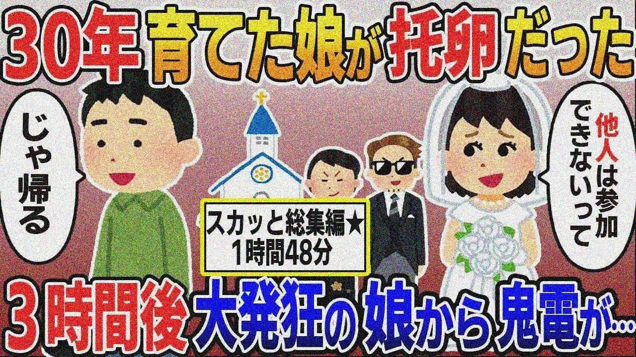 スカッと総集編★人気動画まとめ「30年大事に育てた娘の結婚式、托卵だったことを知った。娘「他人は立ち入り禁」→姿を消した3時間後娘から鬼電が【作業用】【伝説のスレ】【2ｃｈ修羅場スレ・ゆ っくり解説】