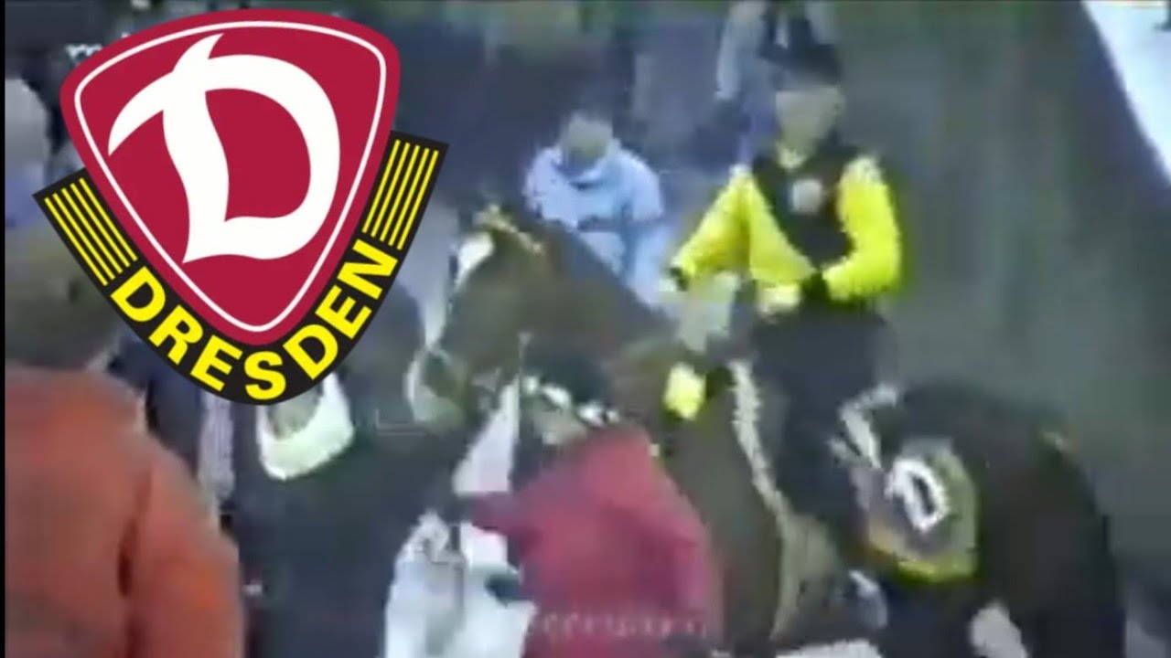 Doku SG Dynamo Dresden  Europapokal,Stadionshows und Gert Zimmermann