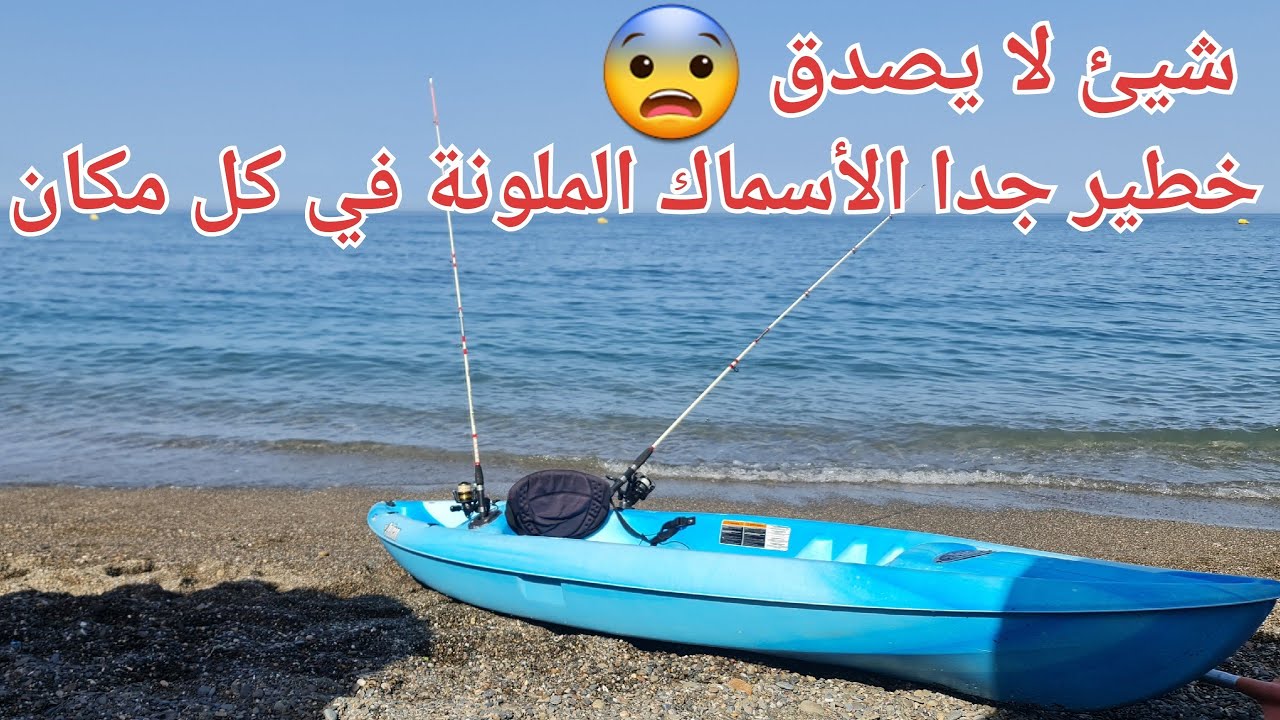 الأسماك الملونة تجتاح شاطئ أوشتام