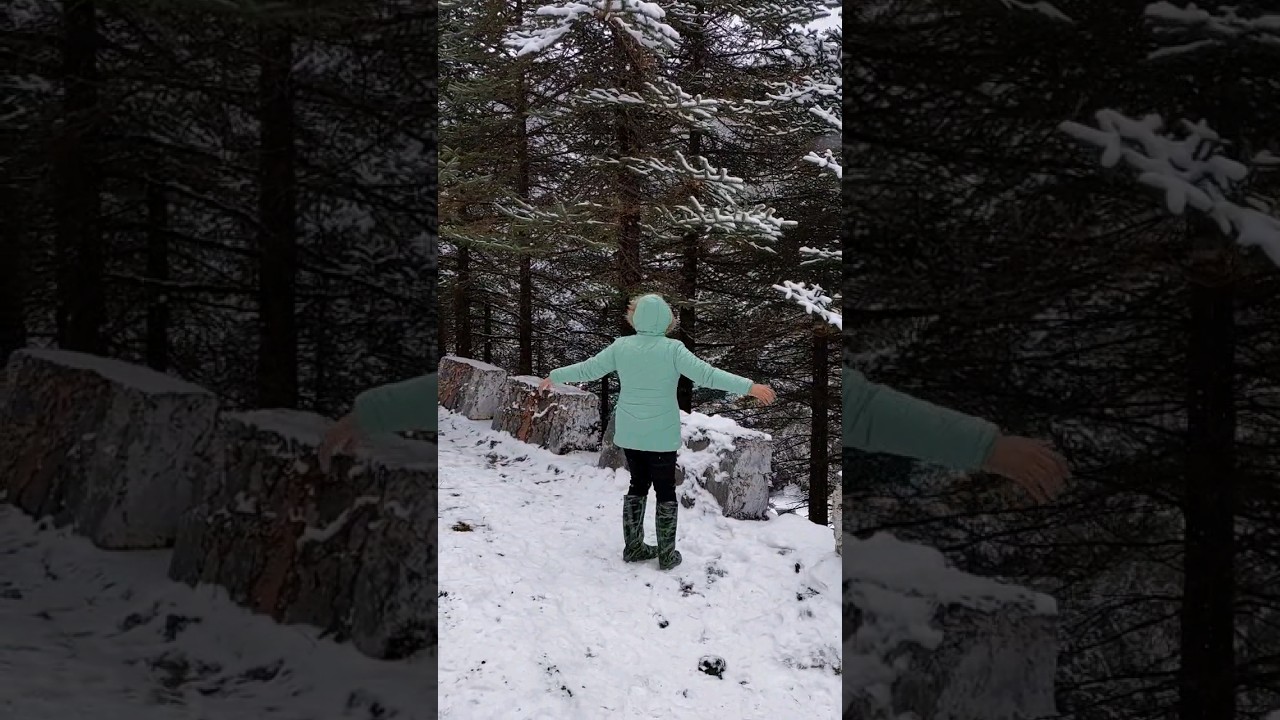 #travelshorts #youtubeshorts #adventure #sikkim #mtkatao #yumthangvalley #northsikkim