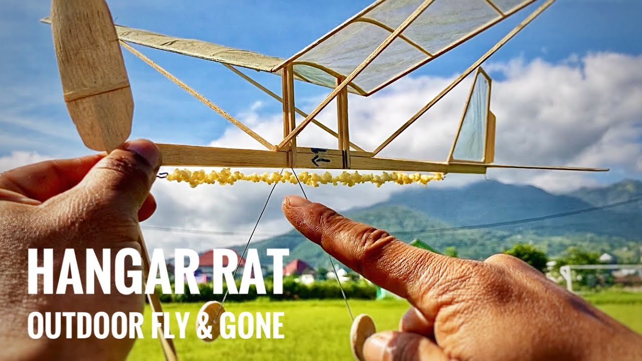 Hangar Rat Outdoor Fly and Gone!!!