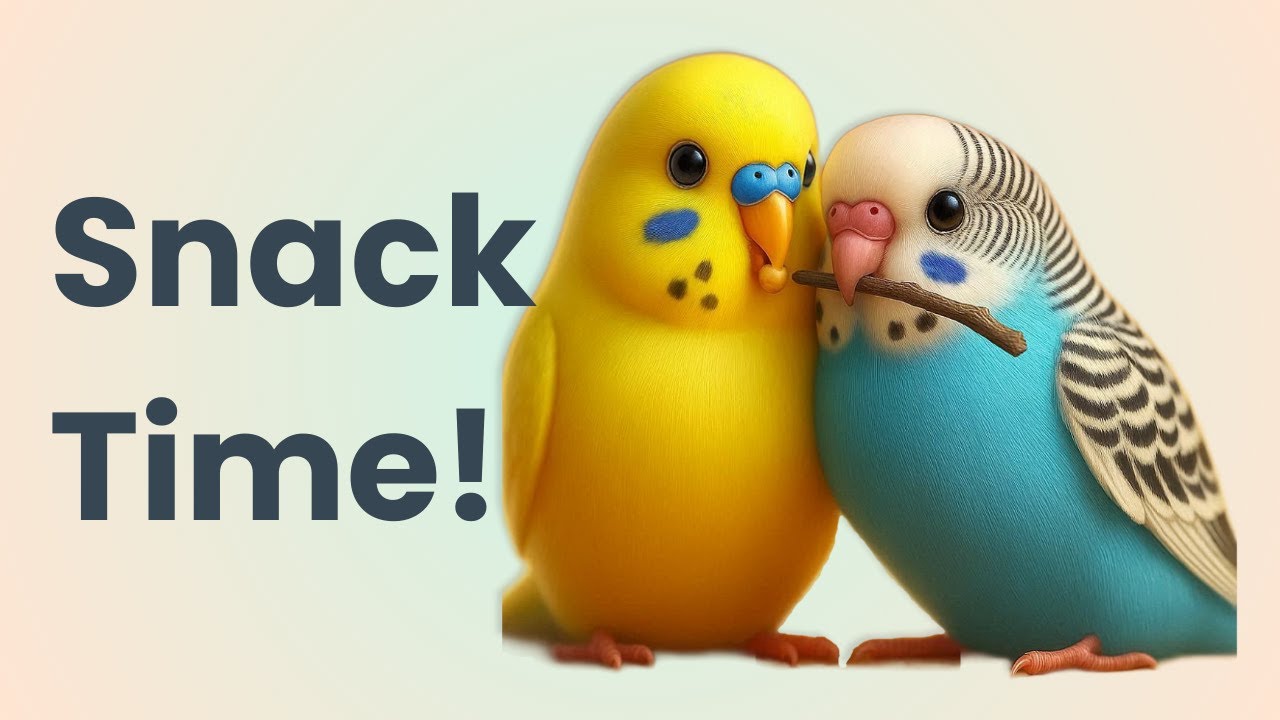 Two Birds, One Cage — Watch Them Bond