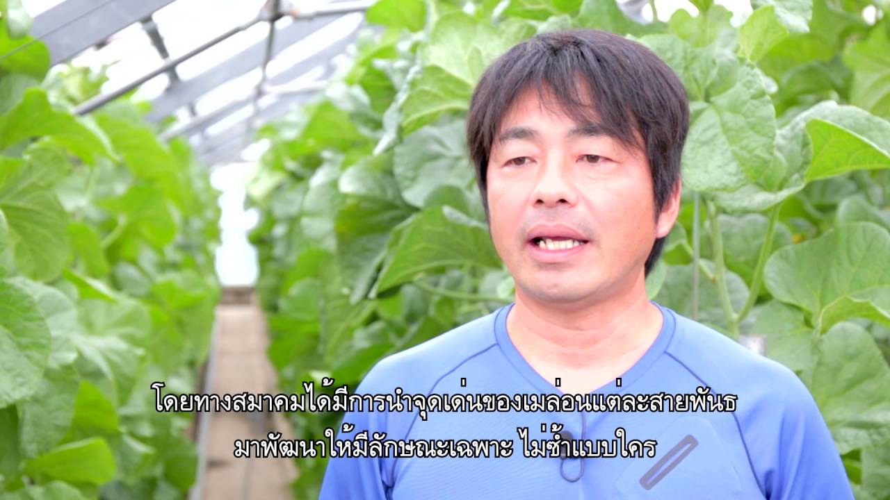 รู้จักกับ Crown Melon มัสก์เมลอนอันดับหนึ่งจากเมือง Fukuroi จังหวัด Shizuoka