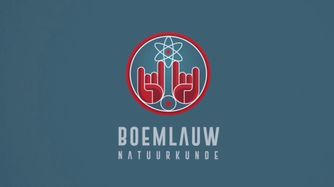 Schakeling ontwerpen: Inbreker alarm (Newton opg 37)