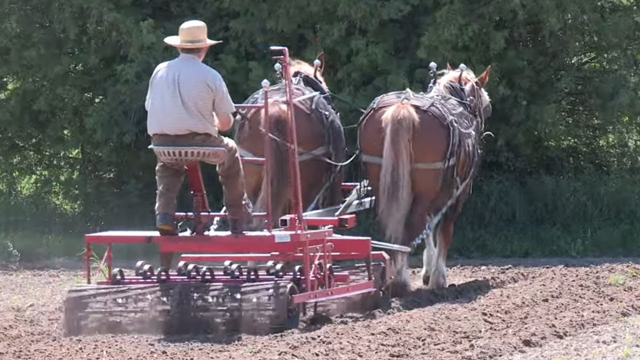 Orchard Hill - Horse-powered Organic Farm Part 2 - Horse Drawn Farming Implements