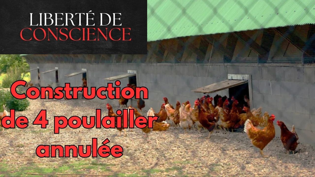 24/02 Détruire l'élevage à tout prix ! #agriculteurs #éleveurs #solidarité