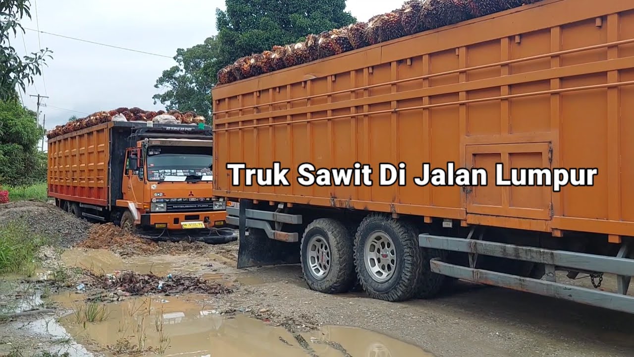 Truk Sawit Di Jalan Lumpur