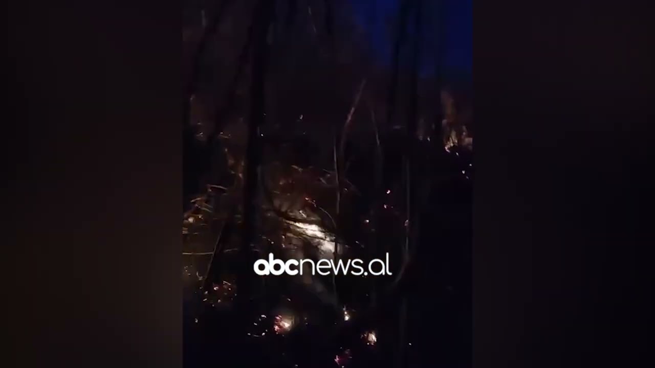 Vatër zjarri në fshatin Somotinë/Pogradec, flakët kanë prekur sipërfaqe me dushk| ABC News Albania