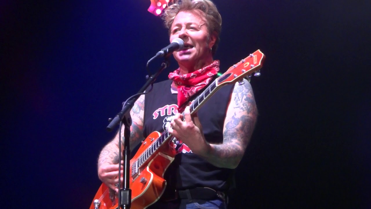Stray Cats, 