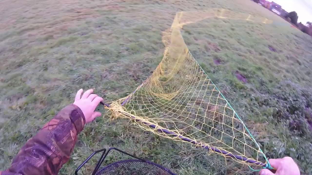 Ferreting 13 (5 ferrets, 100 yard long net, and a crazy spaniel 😂)