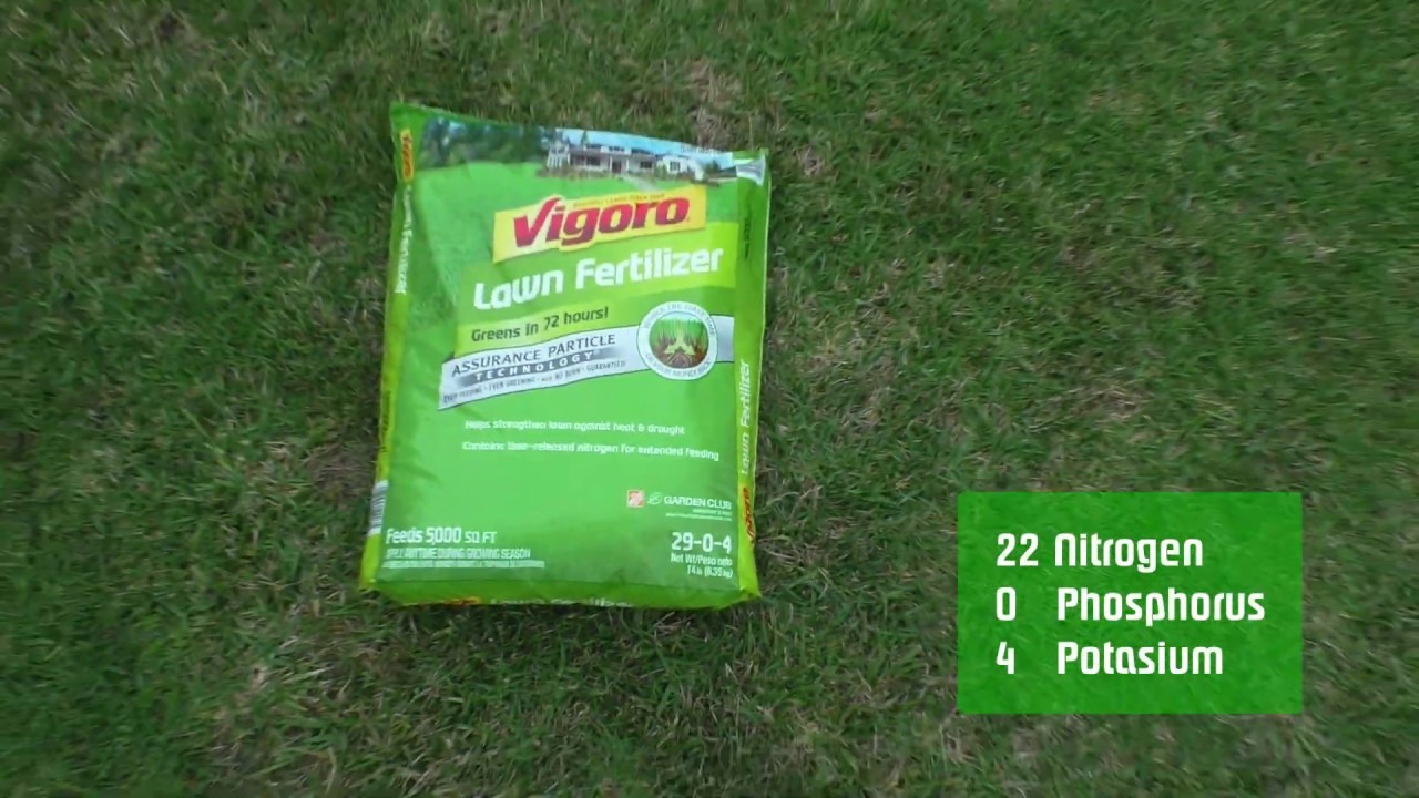 Vigoro Lawn Fertilizer | Will it help fix my lawn?