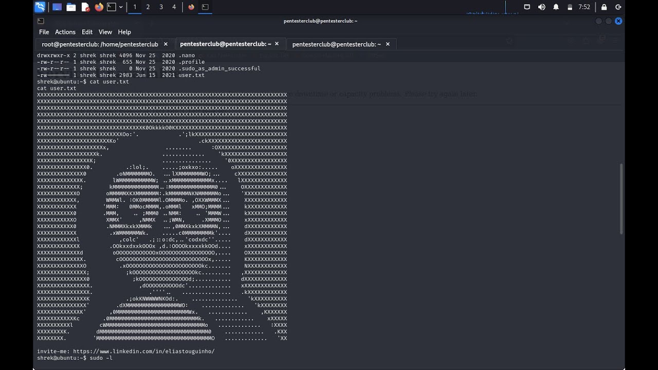Hackerfest Season 2: Mastering the Art of Penetration Testing