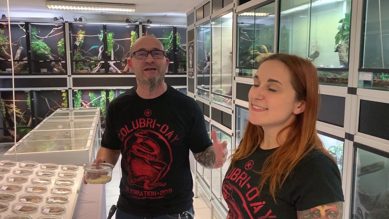 Pour tous les furieux de la couleuvre ! Le ColubriDay 2019