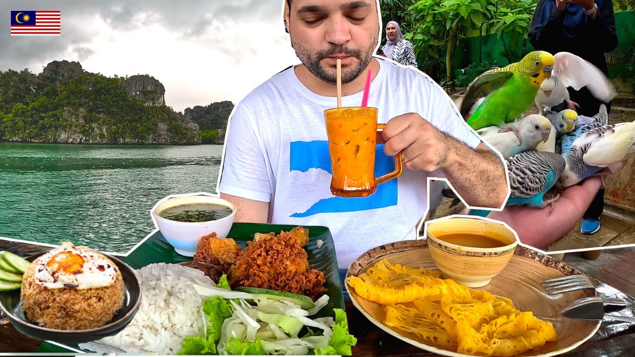 SINGUR PE O INSULA: PRINTRE MAIMUTE & ABIA AM GASIT MANCARE! PLEC IN ALTA TARA! (Langkawi)