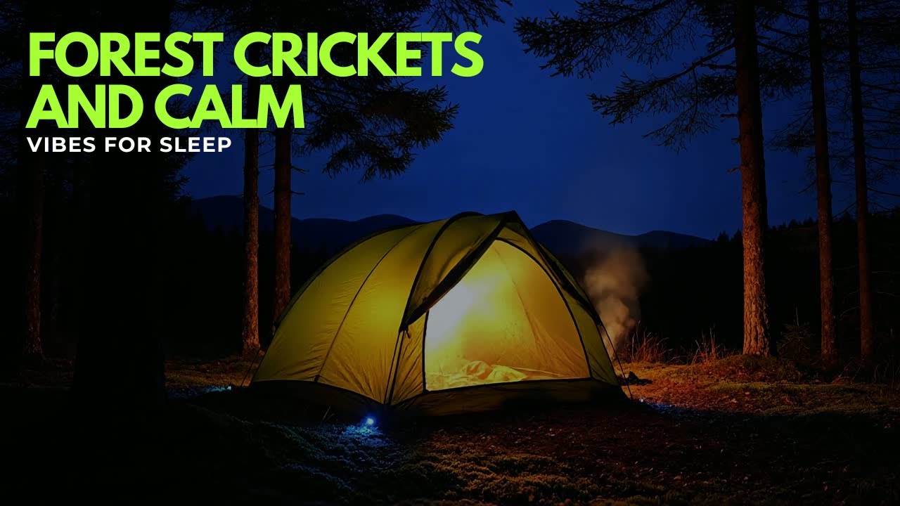 Forest Crickets and Calm Vibes for Sleep