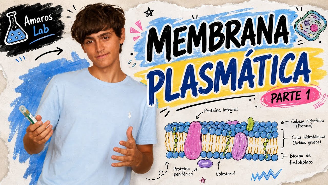3.2 Membrana Plasmática Parte 1