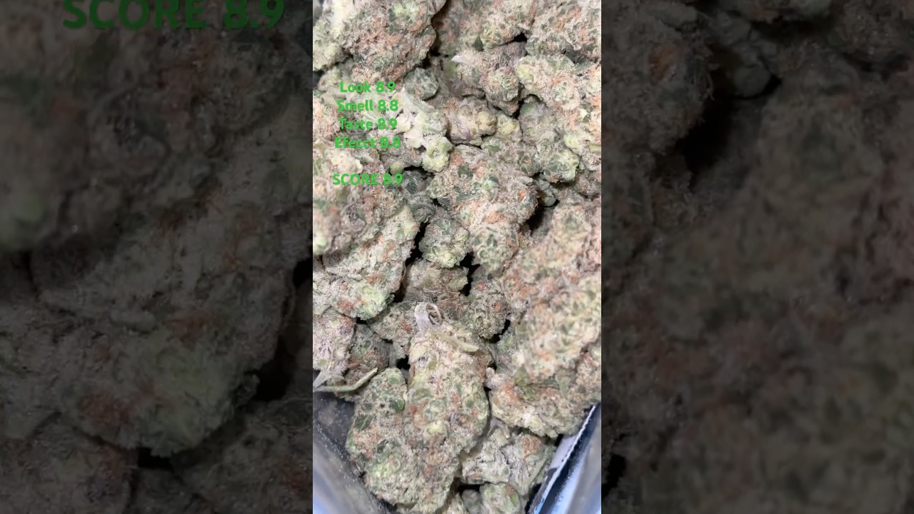 Venom OG By The Loud Plug ⛽️ #420 #zaza #cannabisdaily #canada #shorts #youtubeshorts #gas #
