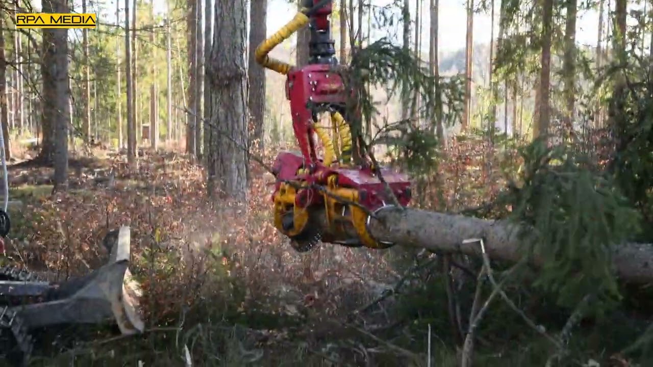 Konrad Woody forestry demo