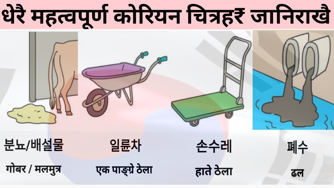 Most Important Korean Pictures Meaning In Nepali language जान्नै पर्ने महत्वपुर्न कोरियन चित्र