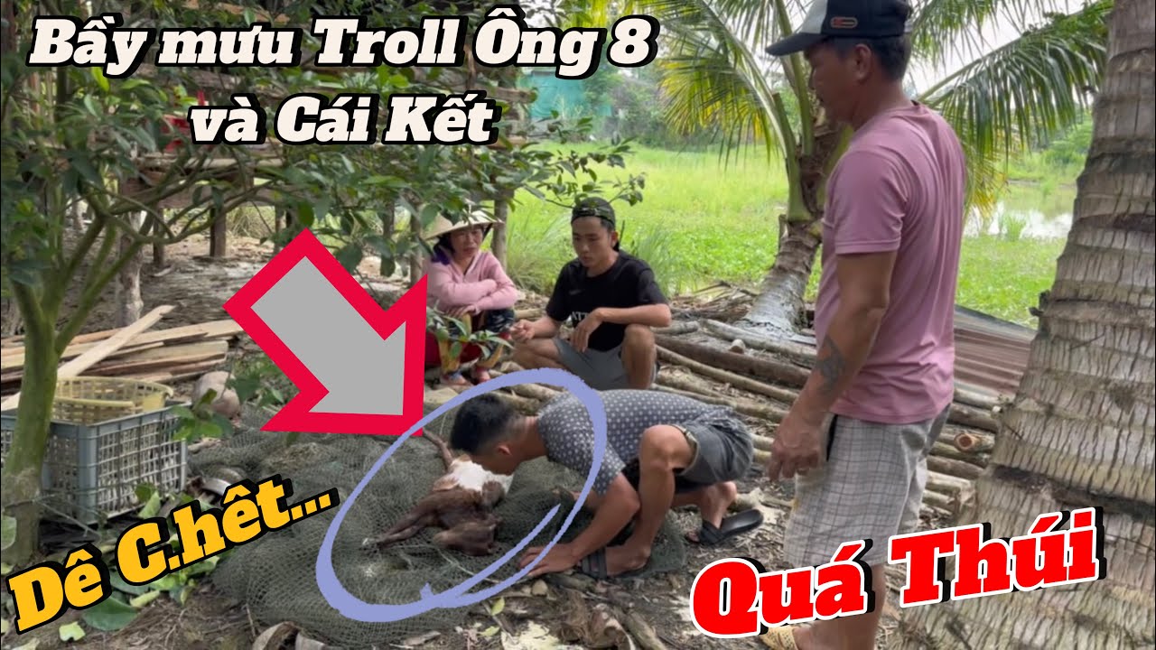 Ông 8 - Ông Ngoại bị bọn ác Troll và Cái Kết