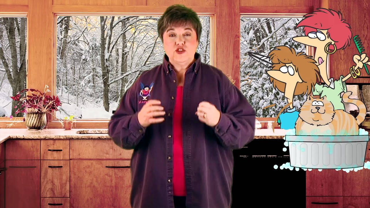 FlyLady TV - Keeping yourself Motivated!