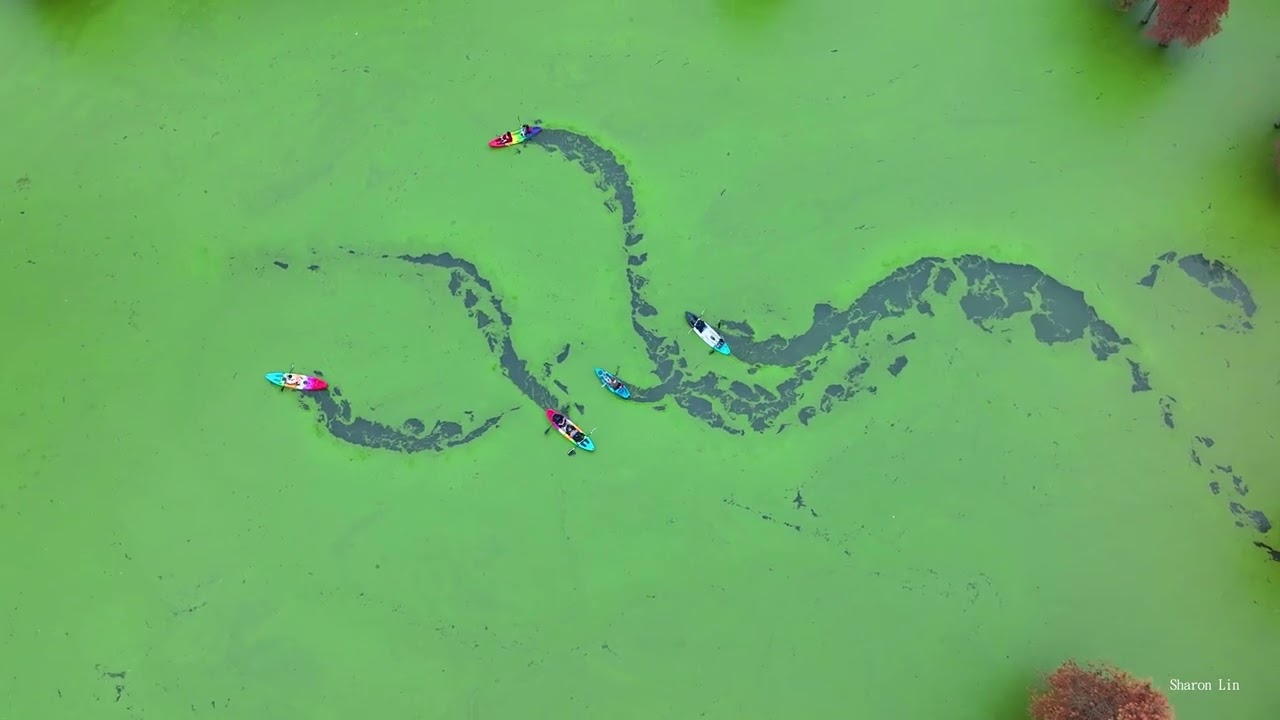2024Nov -浙江 (航拍 Drone 4K)