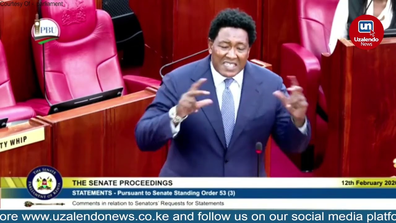 Senator Ledama: “The Best Way to Tackle Criminal Gangs in Kenya Is to Address Root Causes!”