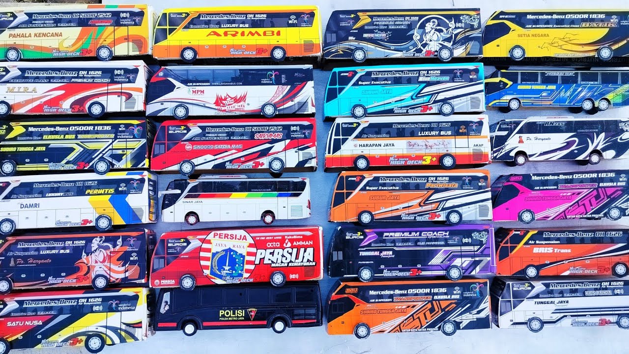 Bus Tunggal jaya, bus polisi, bus satu Nusa, bus MPM, bus STJ Draka, bus DAMRI, bus harapan jaya