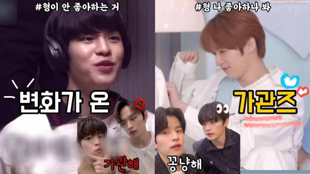 가관에서 꽁냥이 되기까지 가관즈 모음zip.