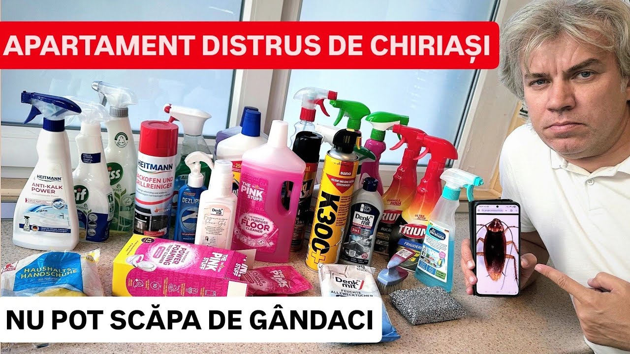 NU scap de GÂNDACI, îl pun la VÂNZARE? CHIRIAȘII au DISTRUS APARTAMENTUL, am VĂZUT alte STRICĂCIUNI