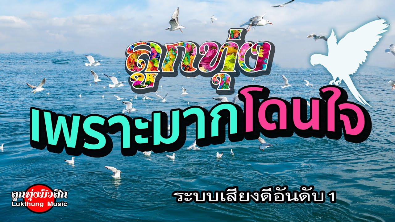 ลูกทุ่งเพราะมากโดนใจ