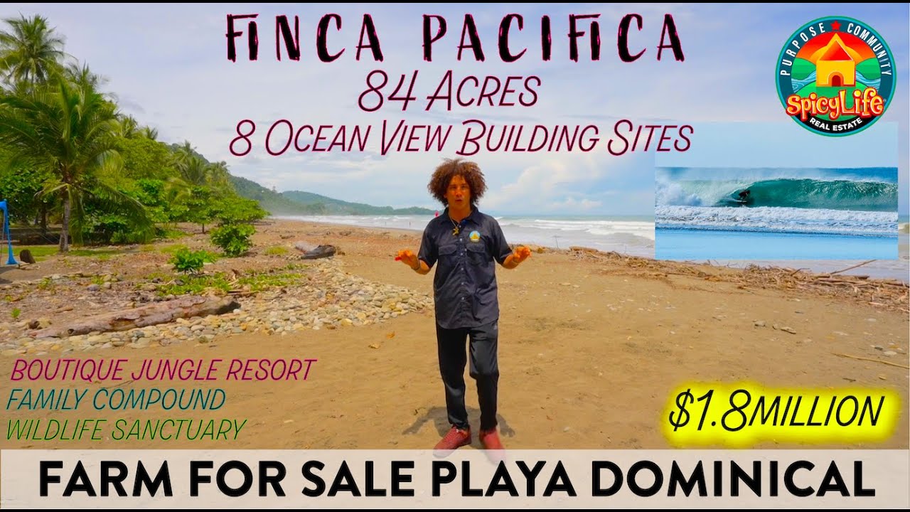 FARM FOR SALE PLAYA DOMINICAL COSTA RICA SURF JUNGLE RESORT FAMILY COMPOUND WILDLIFE SANCTUARY🇨🇷🏄&zwj;♀️
