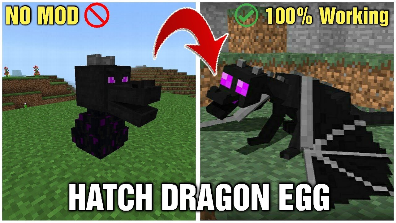 How to hatch a dragon egg in minecraft || Step by step tutorial (bedrock_java) 100% working