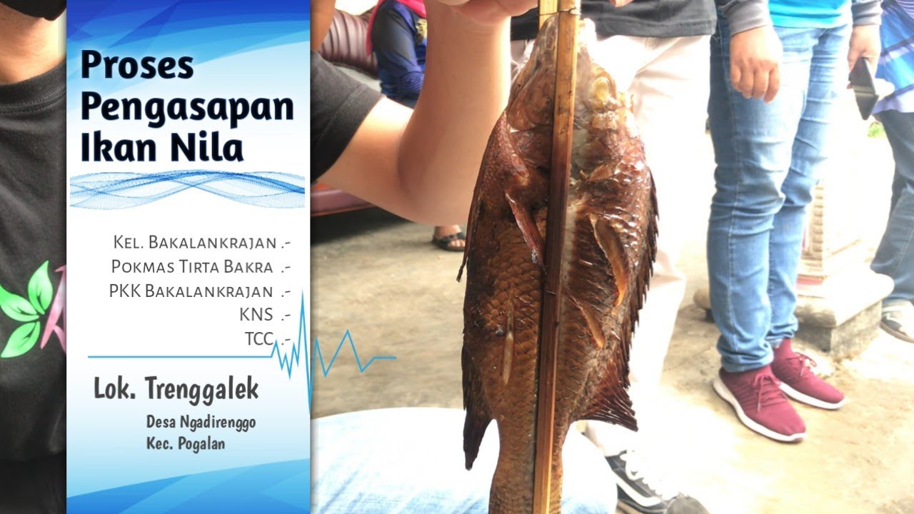 Tutorial Ikan Nila Asap | Cara membuat Ikan Nila asap | Ikan nila asap #ikanasap #nilaasap #ikannila